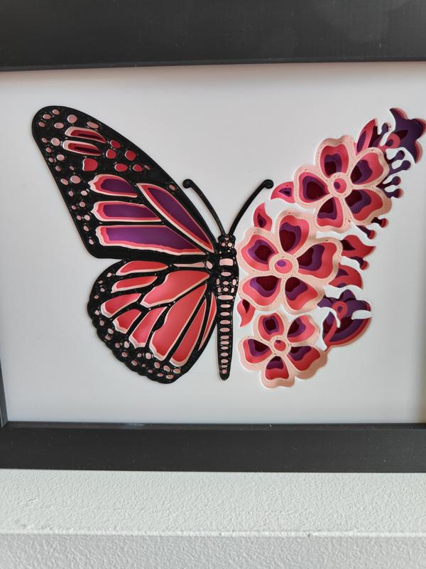 Butterfly Shadow Box