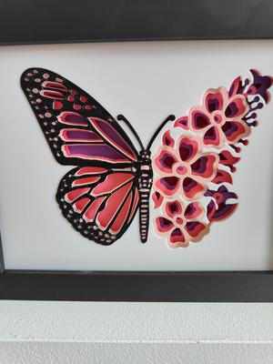 Butterfly Shadow Box