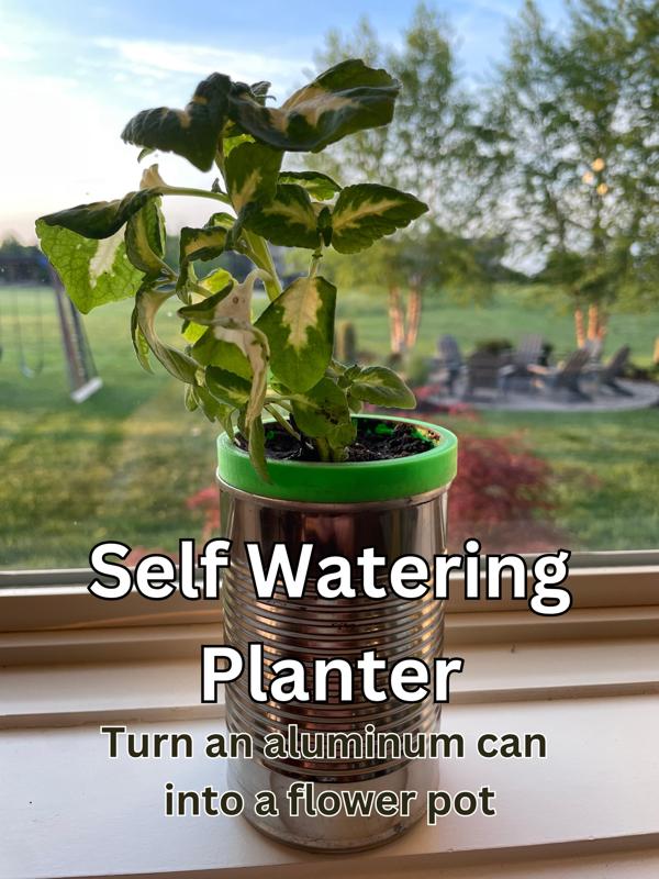 Self Watering Pot