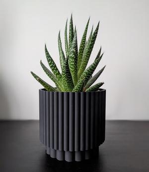 Rolling Planter - Twist and Snap