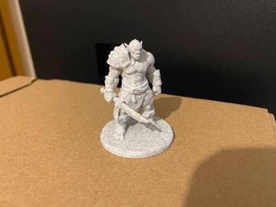Orc Rogue