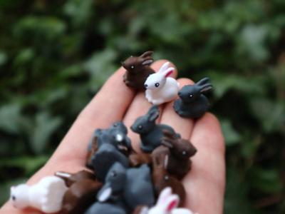 Cute tiny bunny'sss