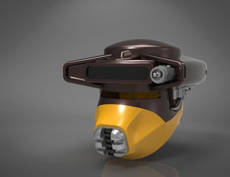 Leia's Boushh Helmet