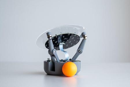 BaBot - The Ball Balancing Robot ?