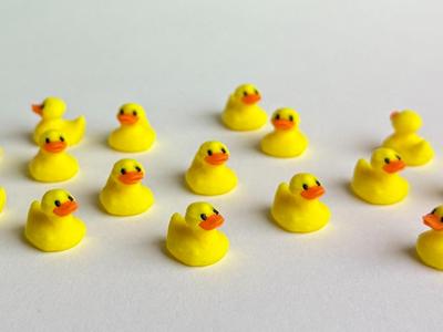 Mini Animals (Rubber Duck)