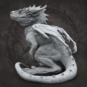 chonky baby dragon