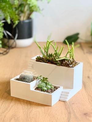 Zen Garden Planter / 2 Versions