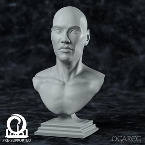 Academic Human bust, presupported