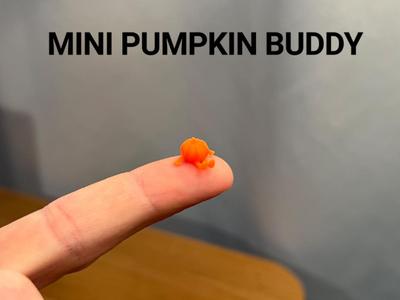 Mini Pumpkin Buddy