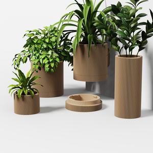 Mini planter- FIN Collection - Planter Set