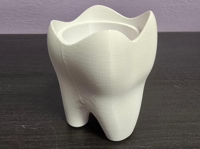 Tooth Pot / Vase – A Fun Gift for a Dentist