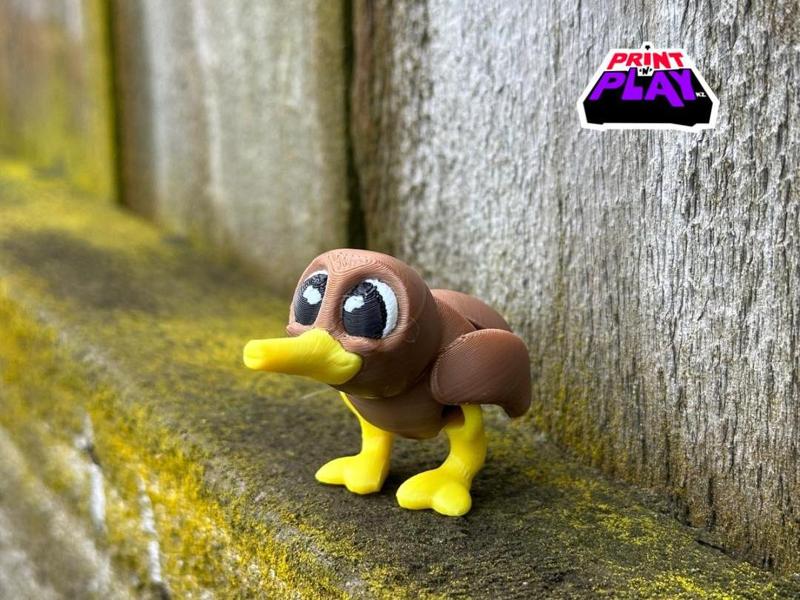 Flexi Kiwi ( + Keychain model )