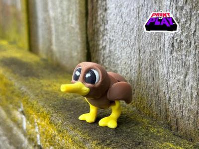 Flexi Kiwi ( + Keychain model )