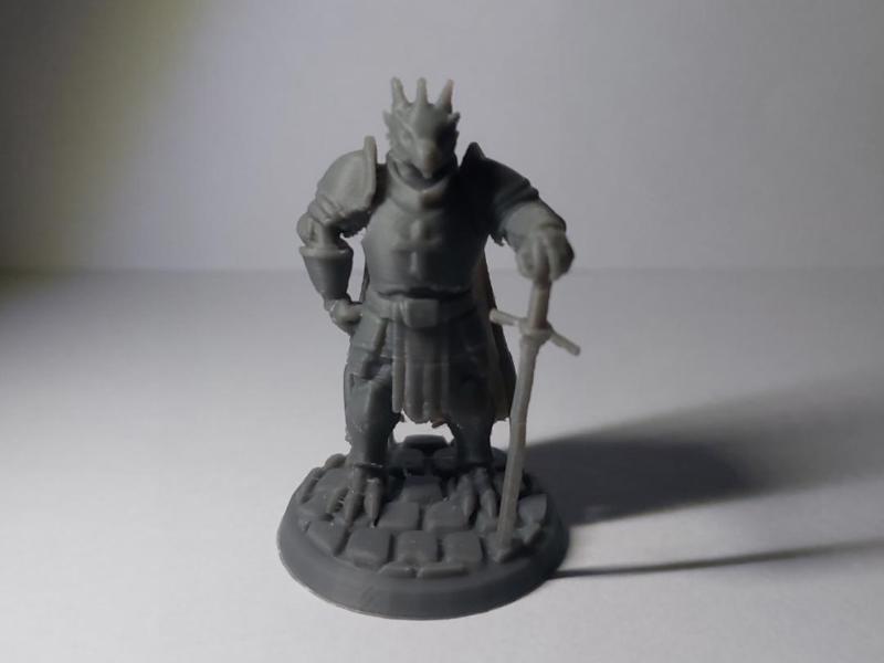 Nigel P. Chudley III - Dragonborn Paladin - Pose 1