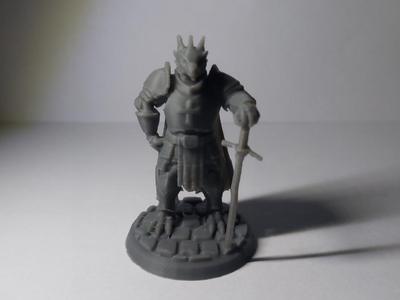 Nigel P. Chudley III - Dragonborn Paladin - Pose 1