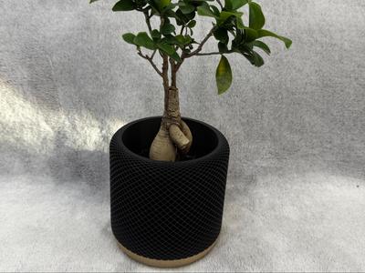 PodPlanter -flowerpot - inspired by HomePod Mini.