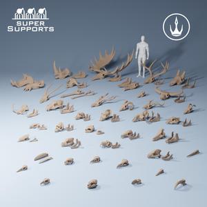 Animal skulls 1-10