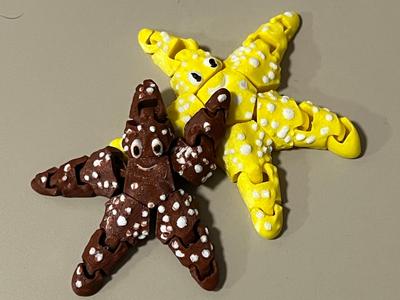 Articulated Flexible Starfish