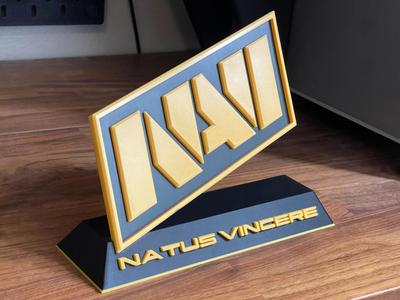 NAVI Logo and Stand