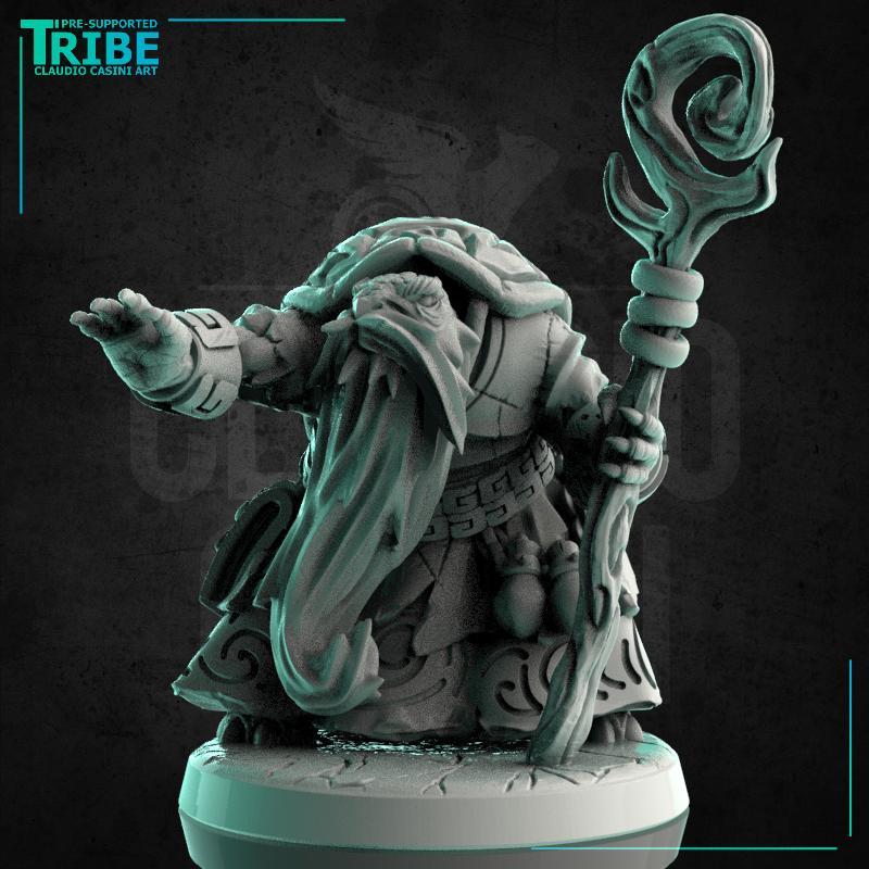 (0231) Male turtle folk summoner wizard druid with a magic club