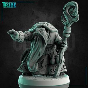 (0231) Male turtle folk summoner wizard druid with a magic club