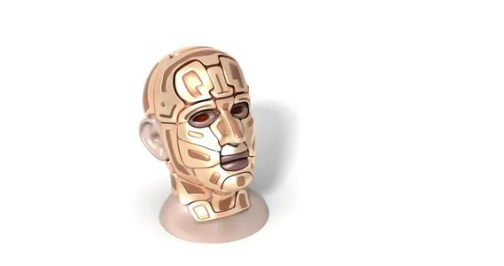 Cyborg Head   