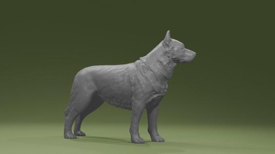 Australian Cattle Dog  posed standing - Farm dog printing file