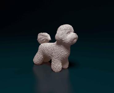 Bichon Frise