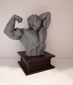 Arnold Schwarzenegger - Busta   