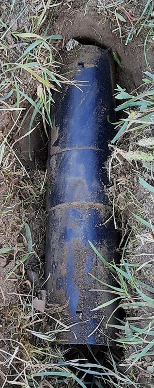 Mole / Vole Trap