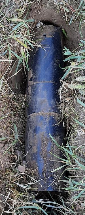 Mole / Vole Trap
