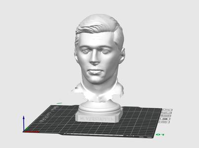 Max Verstappen Bust