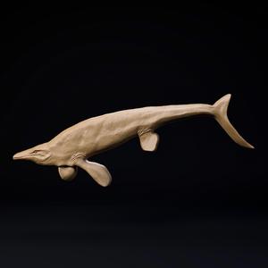 Tylosaurus magnet or Bas-relief pre-supported FREE model