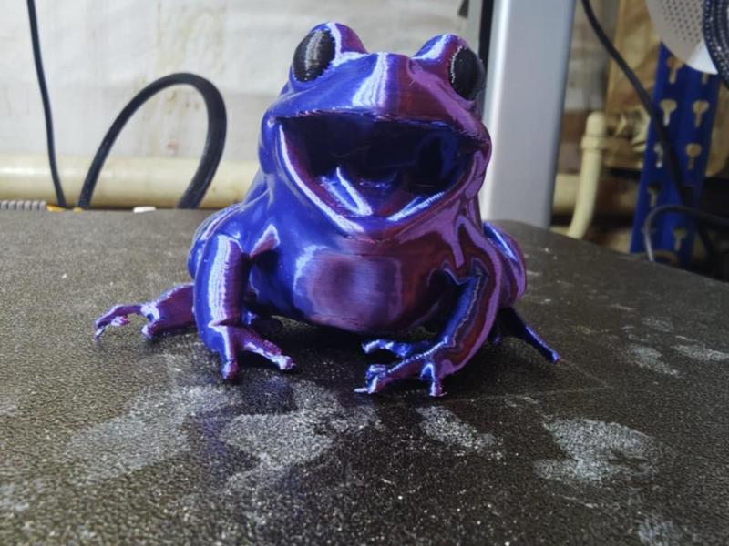 Smiley Frog
