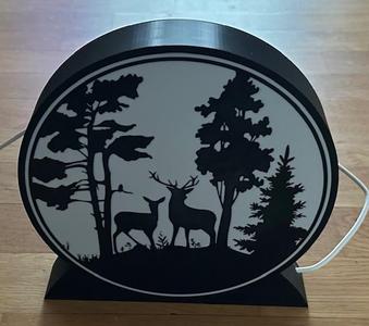 Deer in the forest