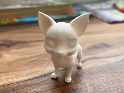 Chihuahua