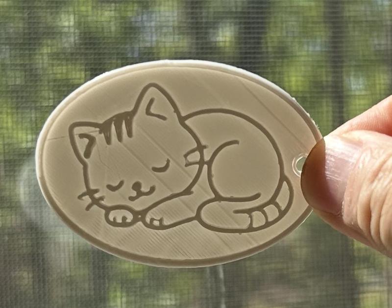 Sleeping Cat Tag