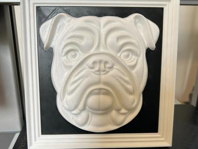 Bulldog Relief Sculpture with AMS