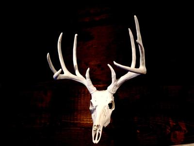 Bonnie and Clyde Deer Skull #1