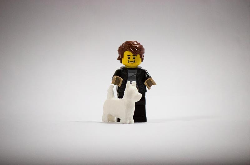 Dog brick