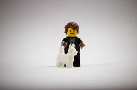 Dog brick