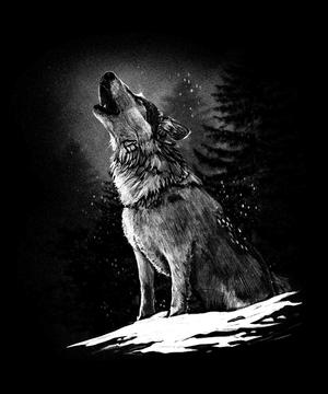 Wolf in the forrest at night with moon -  Hueforge MUlticolor Art Design