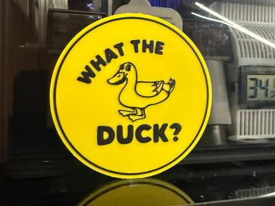 WHAT THE DUCK 