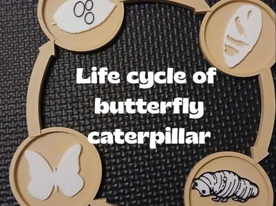 Sensory Tray – Butterfly Life Cycle