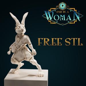 Elacott - Rabbitfolk Bard - DnD is a Woman Free STL