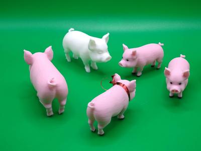 Pig miniature