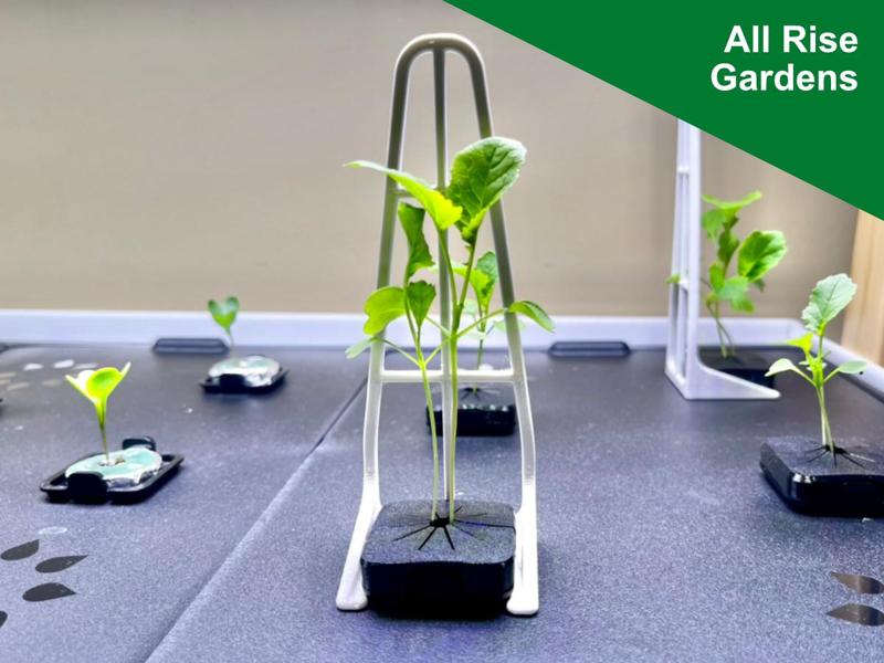 Better Plant Stands for Rise Gardens