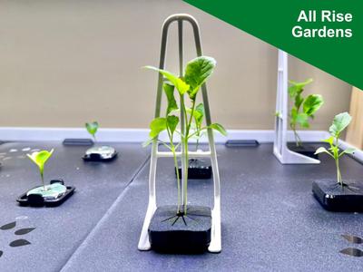Better Plant Stands for Rise Gardens