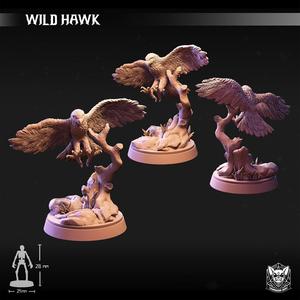 Wild Hawk