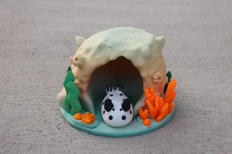 Coral Cave Display